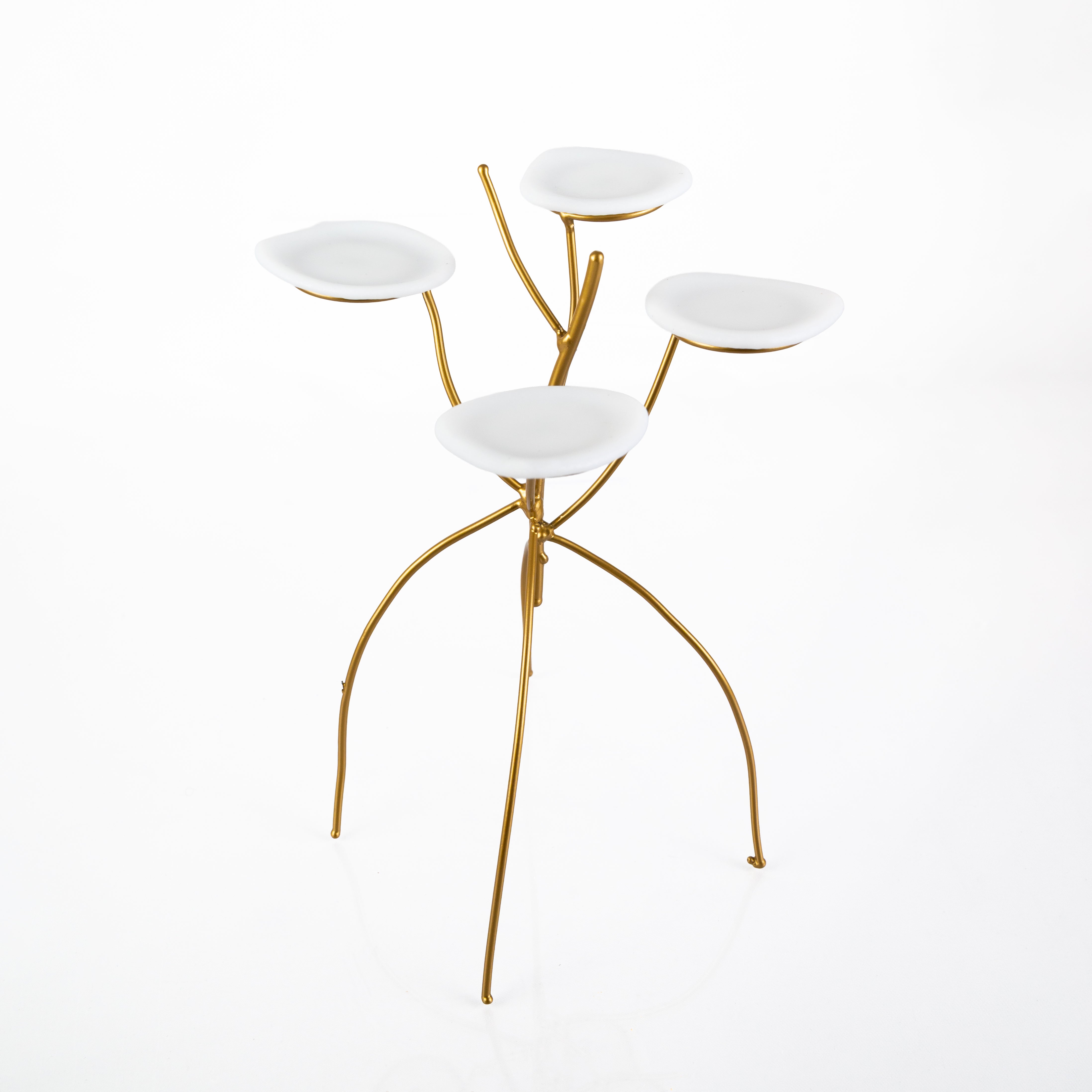 Albero Petis