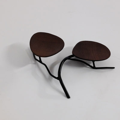 Racines - Structure de service