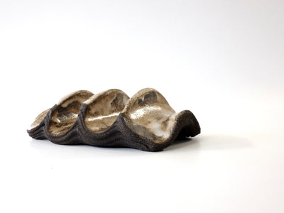 Tacos & Baos - Plat de service