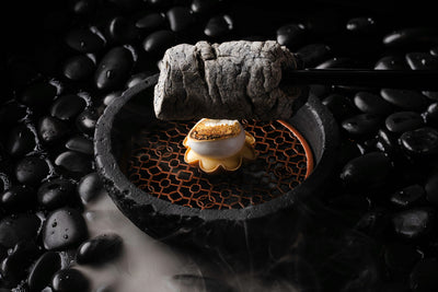 TWS Roche Volcanique - Plaque