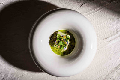 Elysium - Piatto isolante