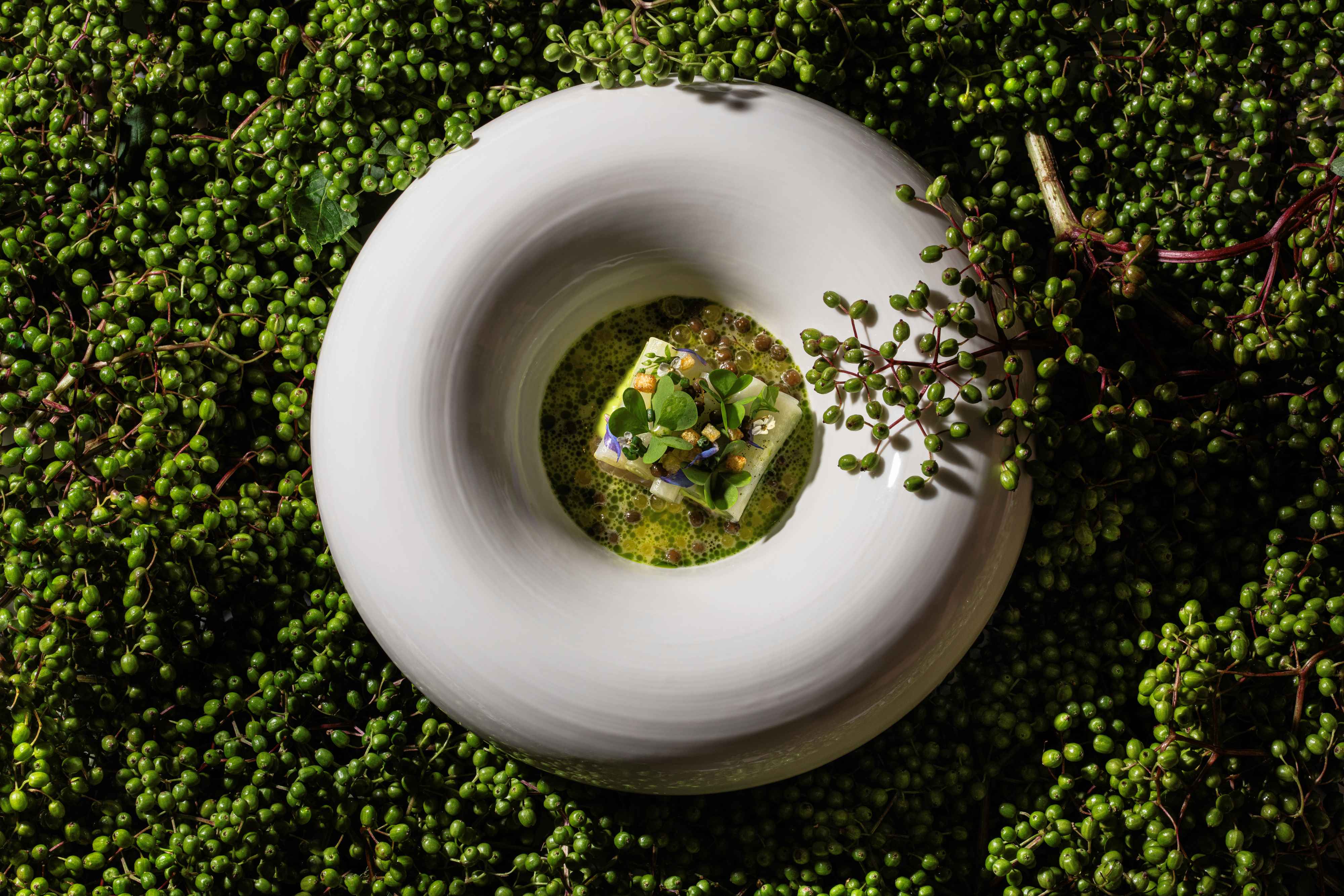 Elysium keramische isolatieplaat