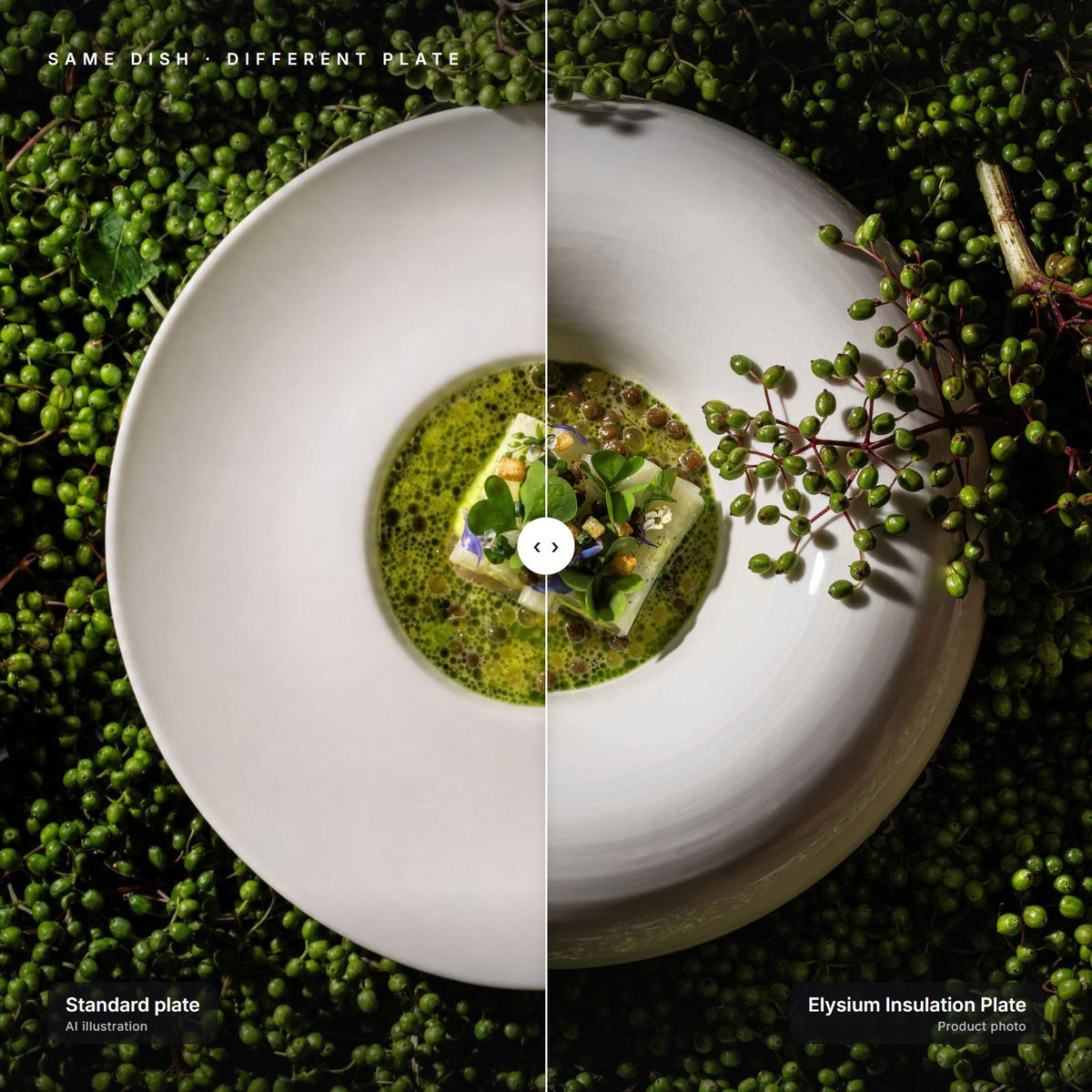 Elysium Insulation Plate next to a standard plate with the same dish – left half is an AI illustration for comparison