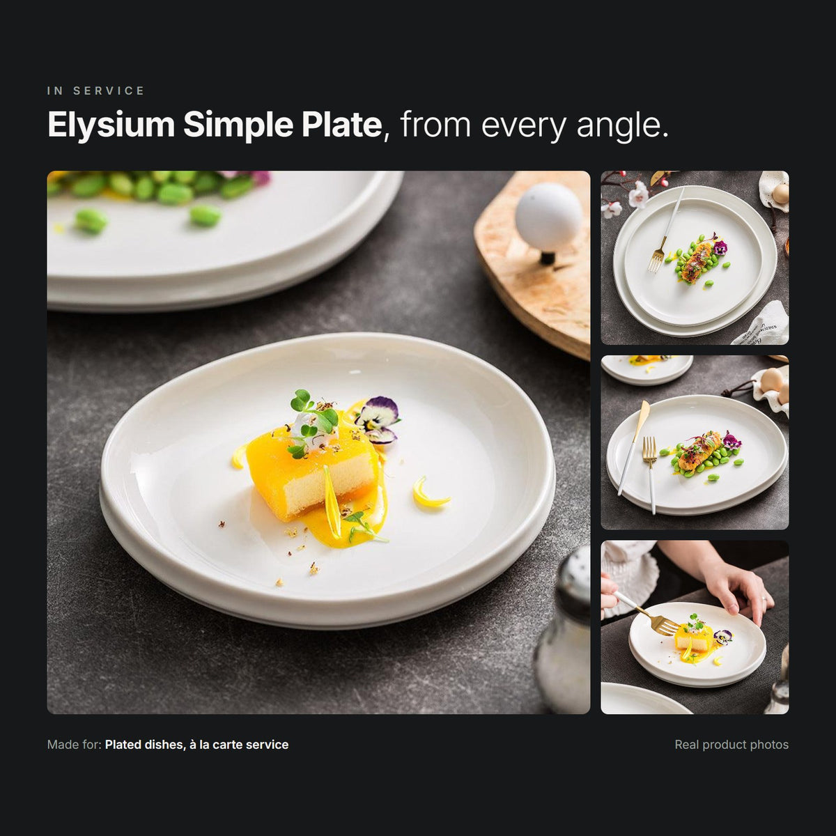 Elysium Simple Plate in service – real product photos