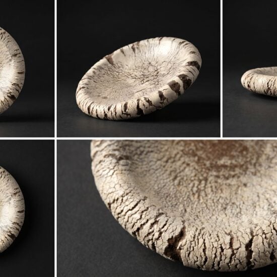 Cracks - Plate